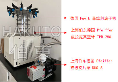 雙級(jí)旋片泵應(yīng)用于凍干機(jī)設(shè)備