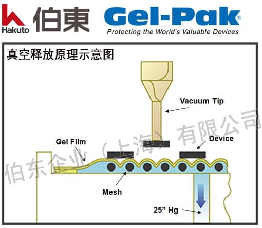 Gel-Pak 真空釋放膠盒原理及尼龍網格線選擇
