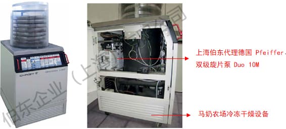 雙級旋片泵應用于奶制品冷凍干燥