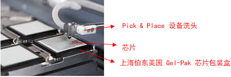 Gel-pak 芯片包裝盒