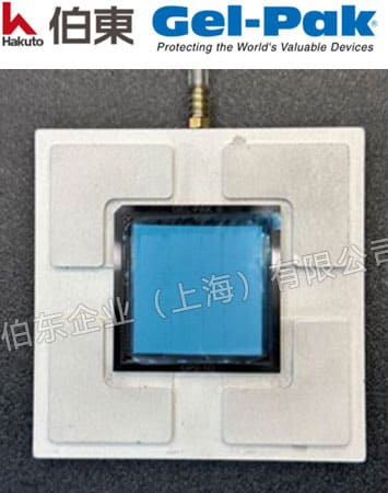 Gel-Pak 超凈真空釋放盒