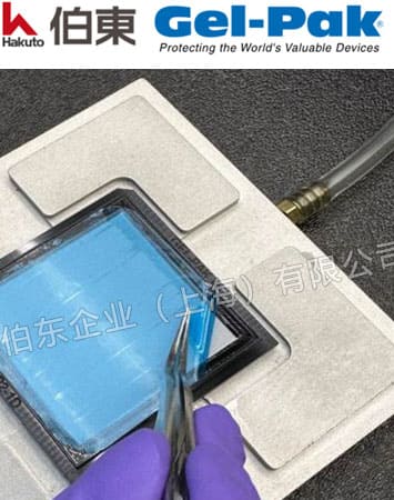 Gel-Pak 超凈真空釋放盒