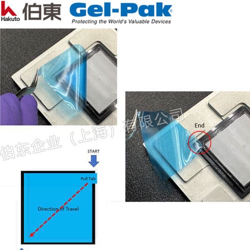 Gel-Pak 超凈真空釋放盒
